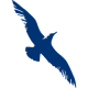 airline